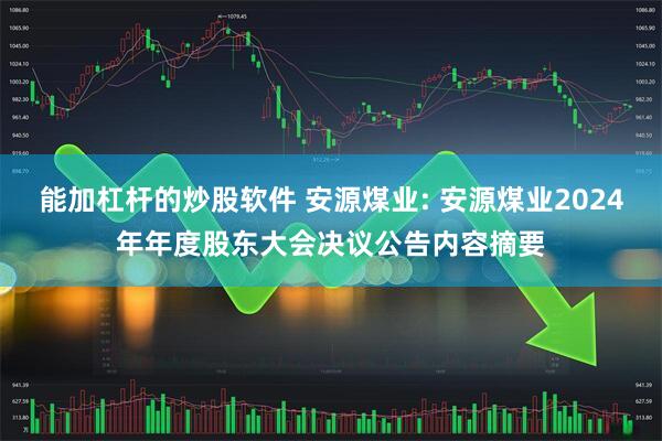 能加杠杆的炒股软件 安源煤业: 安源煤业2024年年度股东大会决议公告内容摘要