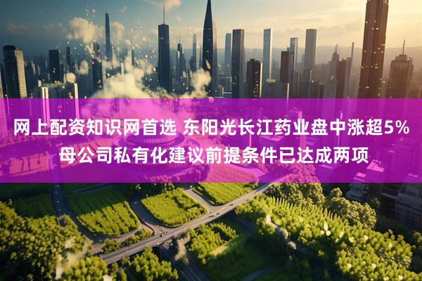 网上配资知识网首选 东阳光长江药业盘中涨超5% 母公司私有化建议前提条件已达成两项
