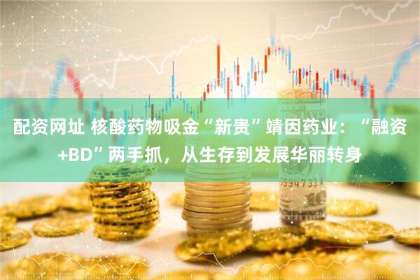 配资网址 核酸药物吸金“新贵”靖因药业：“融资+BD”两手抓，从生存到发展华丽转身